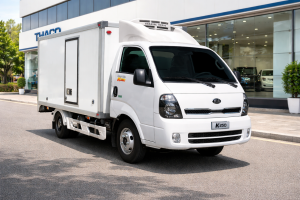 Kia K250 Thùng Đông Lạnh